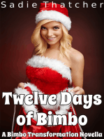 Twelve Days of Bimbo