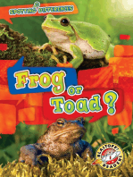 Frog or Toad?