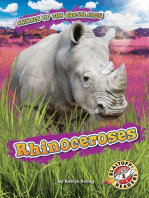 Rhinoceroses