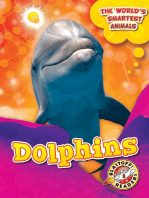 Dolphins