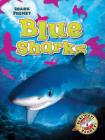 Blue Sharks