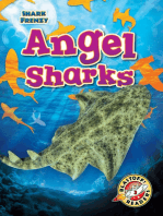 Angel Sharks
