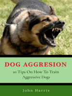 Dog Aggression: 10 Tips On How To Train Aggressive Dogs