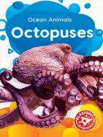 Octopuses