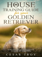 House Training Guide for Your Golden Retriever