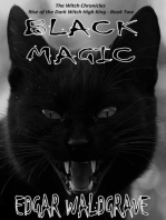 Black Magic: The Witch Chronicles - Rise Of The Dark Witch High King - Book Two