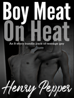 Boy Meat on Heat: 8-Story Bundle Pack of Teenage Gay
