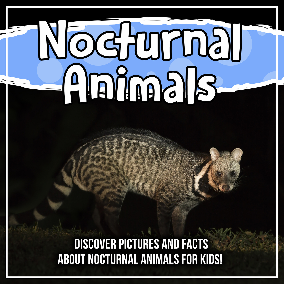 Read Nocturnal Animals: Discover Pictures and Facts About Nocturnal