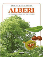 Alberi