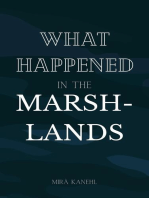 What Happened in the Marshlands