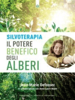 Silvoterapia: Il potere benefico degli alberi