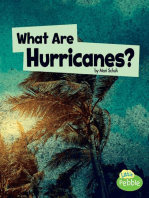 What Are Hurricanes?