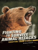 Fighting to Survive Animal Attacks: Terrifying True Stories