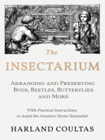 The Insectarium - Collecting, Arranging and Preserving Bugs, Beetles, Butterflies and More - With Practical Instructions to Assist the Amateur Home Naturalist