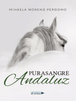 Purasangre Andaluz