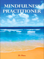 Mindfulness Practitioner