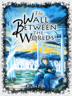 The Wall Between the Worlds