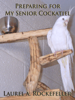 Preparing for My Senior Cockatiel