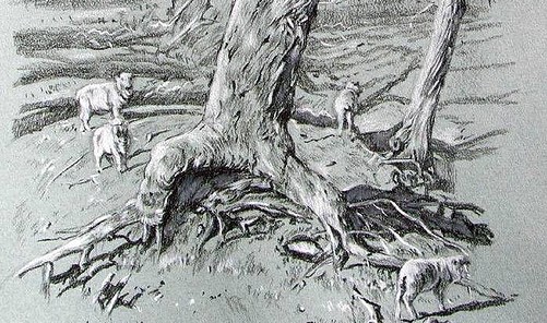 Drawing the Australian Landscape - Australian How To Paint | Everand