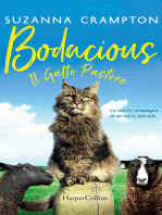 Bodacious - Il gatto pastore