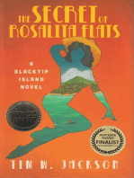 The Secret of Rosalita Flats