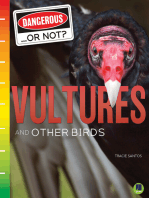 Vultures and Other Birds