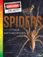 Spiders and Other Arthropods