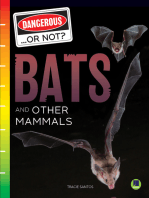 Bats and Other Mammals