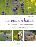 Lavendelschätze: Von Pflanzen, Düften und Menschen