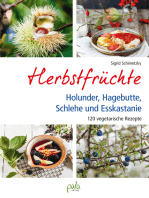 Herbstfrüchte: Holunder, Hagebutte, Schlehe und Esskastanie