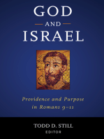 God and Israel: Providence and Purpose in Romans 9–11