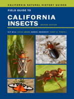 Field Guide to California Insects: Second Edition
