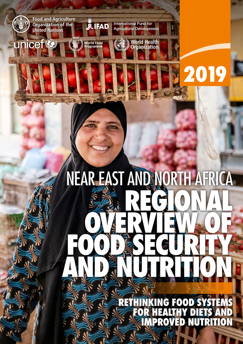 Regional Overview of Food Security and Nutrition in the near East and ...
