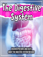 The Digestive System: Discover Pictures and Facts About The Digestive System For Kids!