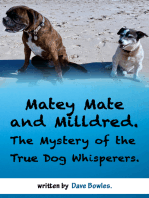 Matey Mate and Milldred. The Mystery of the True Dog Whisperers.