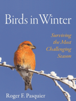 Birds in Winter: Surviving the Most Challenging Season