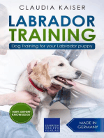Labrador Training: Dog Training for Your Labrador Puppy: Labrador Training, #1