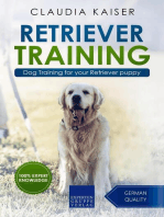 Retriever Training: Dog Training for Your Retriever Puppy: Golden Retriever Training, #1