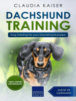 Dachshund Training: Dog Training for Your Dachshund Puppy: Dachshund Training, #1