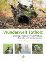 Wunderwelt Totholz: Unterwegs im Lebensraum von Waldkauz, Hirschkäfer und Holunderschwamm