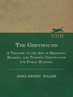 The Greyhound - A Treatise On The Art Of Breeding, Rearing, And Training Greyhounds For Public Running - Their Diseases And Treatment