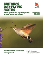 Britain's Day-flying Moths: A Field Guide to the Day-flying Moths of Great Britain and Ireland, Fully Revised and Updated Second Edition