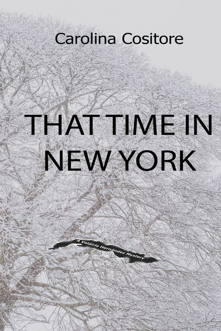 That Time in New York by Carolina Cositore