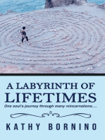 A Labyrinth of Lifetimes