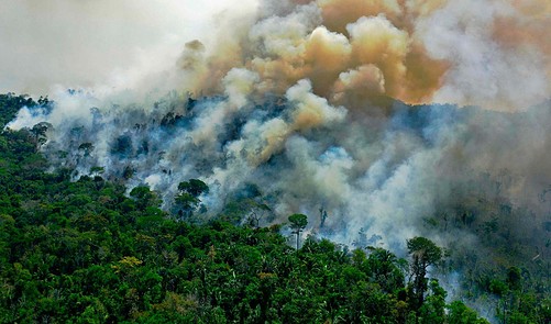 Climate Crisis: New UK Laws Will Clampdown On Illegal Deforestation In ...