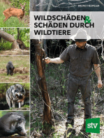 Wildschäden & Schäden durch Wildtiere