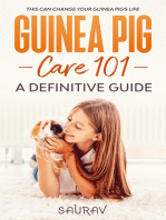 Guinea Pig Care Book