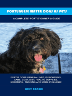 Portuguese Water Dogs as Pets