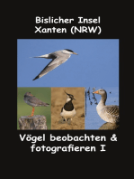 Bislicher Insel - Xanten (NRW): Vögel beobachten & fotografieren I