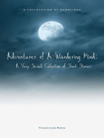 Adventures of a Wandering Mind: A Very Small Collection of Short Stories